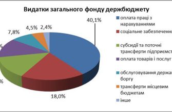 Расходы из госбюджета выросли на четверть: на что направили средства