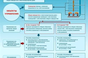 Основы безопасной покупки недвижимости: проверка и предосторожности