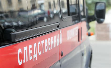 Следственный комитет возбудил дело о теракте против двух подростков в Забайкалье, подозреваемых в поджоге леса под Читой по поручению «куратора». Лесной пожар ликвидировали в течение нескольких дней