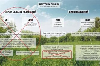 В чём разница между ИЖС и ЛПХ?
